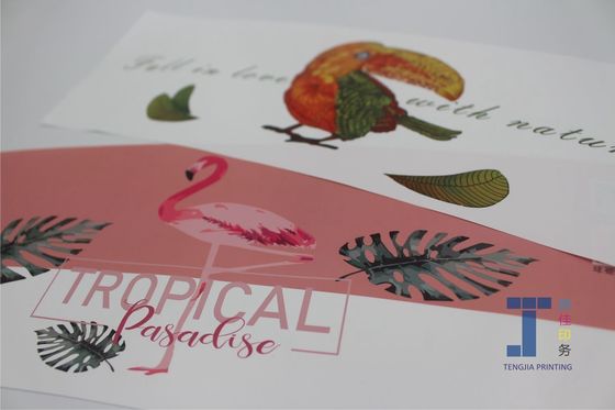 Digital Printing IML In Mould Labels For Plastic Basket Fruit Basket Big Size